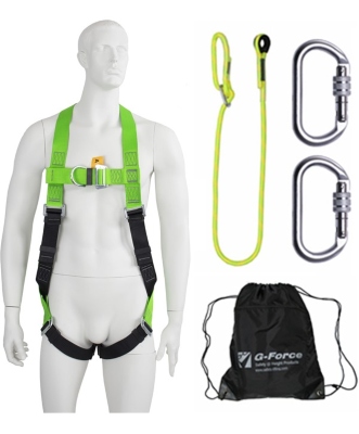 P11 2 point harness restraint kit